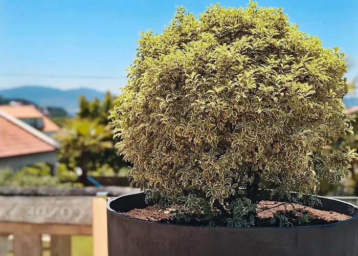 Conde Navio מלון